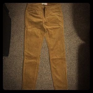 Cabi corduroy Pants